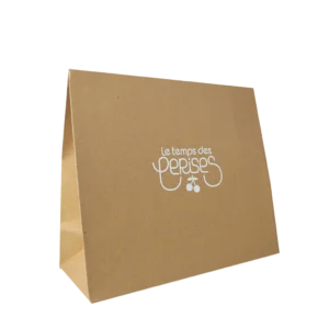 Pochette Cadeau Kraft