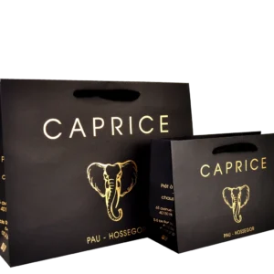 Sac Luxe décliné en 2 Modèles